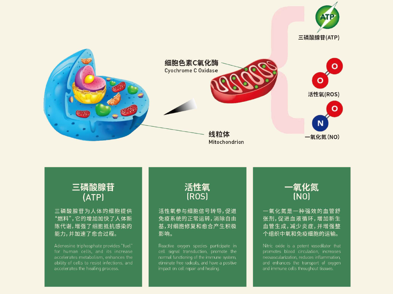 图片5
