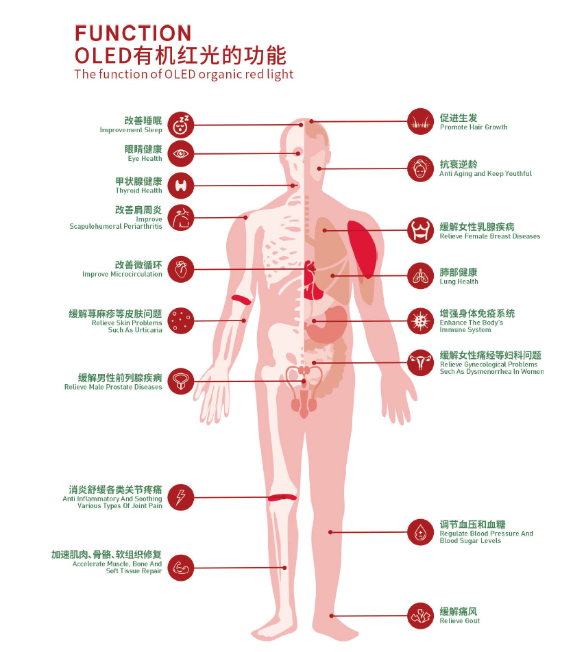 图片6